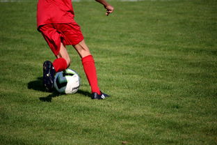 开云备用-中国足球青训体系引进国际先进训练理念，中国足球青训体系是什么